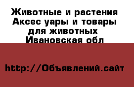 Животные и растения Аксесcуары и товары для животных. Ивановская обл.